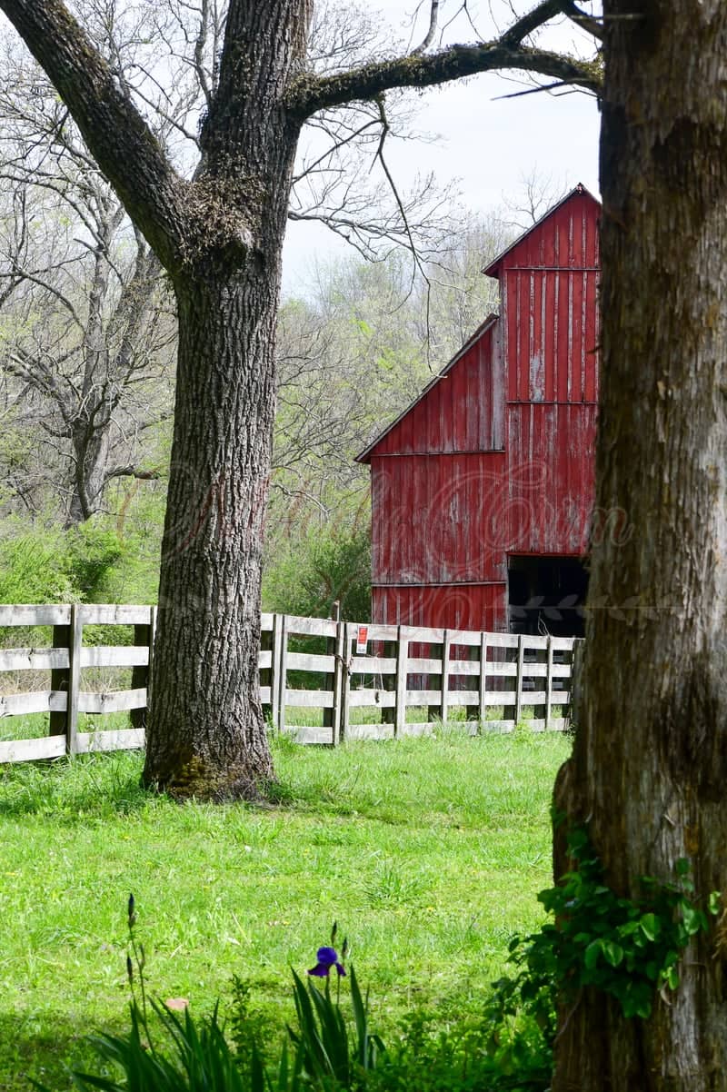 Rutledge Falls Trailhead Barn - Image 1