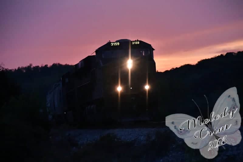 South Pittsburg Rail Crossing - Image 1
