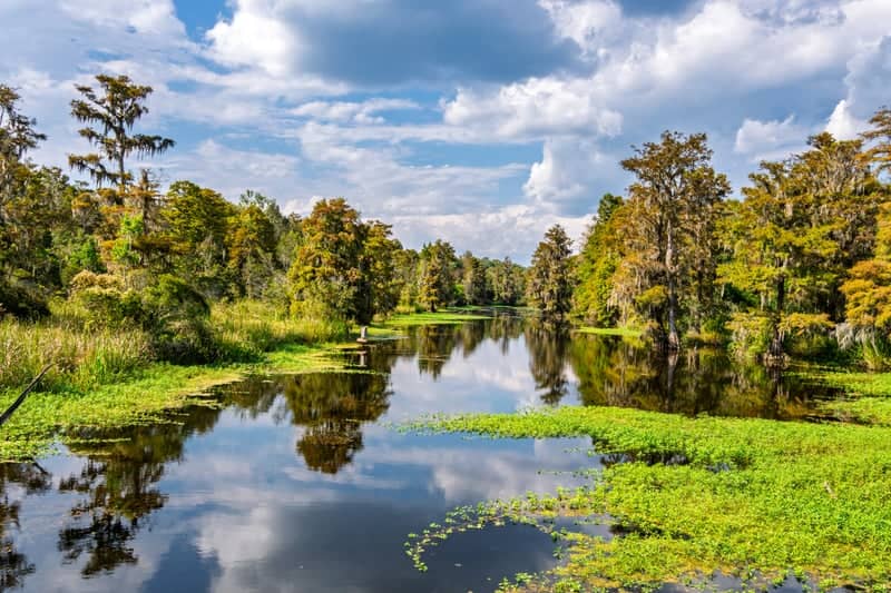 Old Santee Canal Park - Image 1
