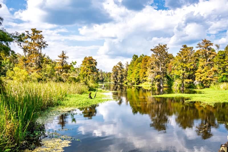 Cypress Gardens - Image 1