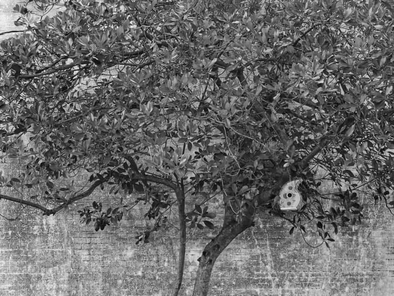 Brooks Street Textured Wall - Image 1