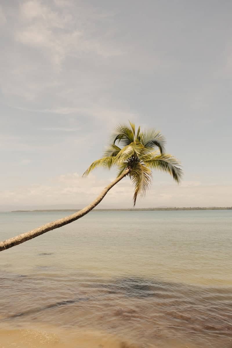 Amador Causeway - Image 1