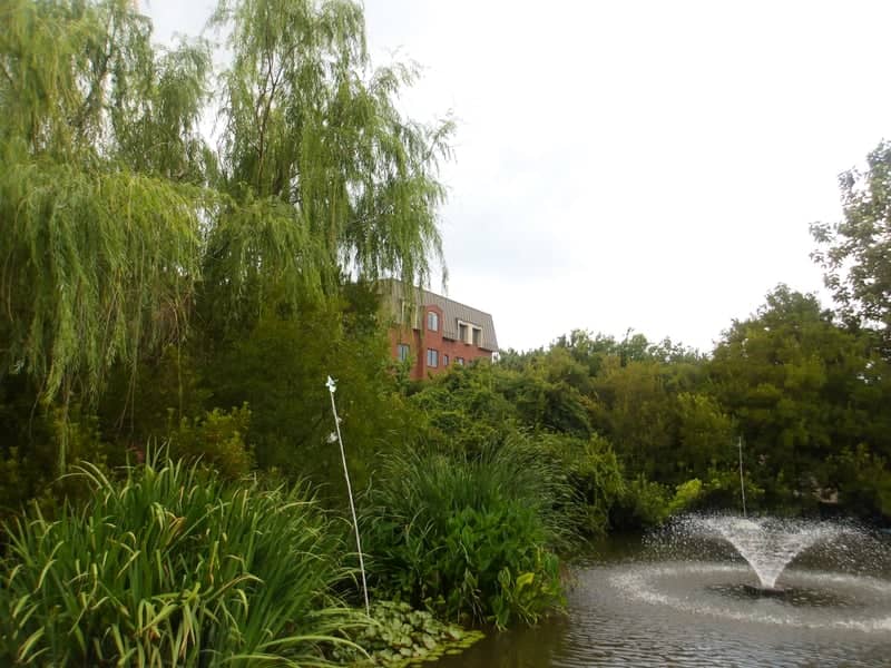 Freemason Harbor Garden Pond - Image 1