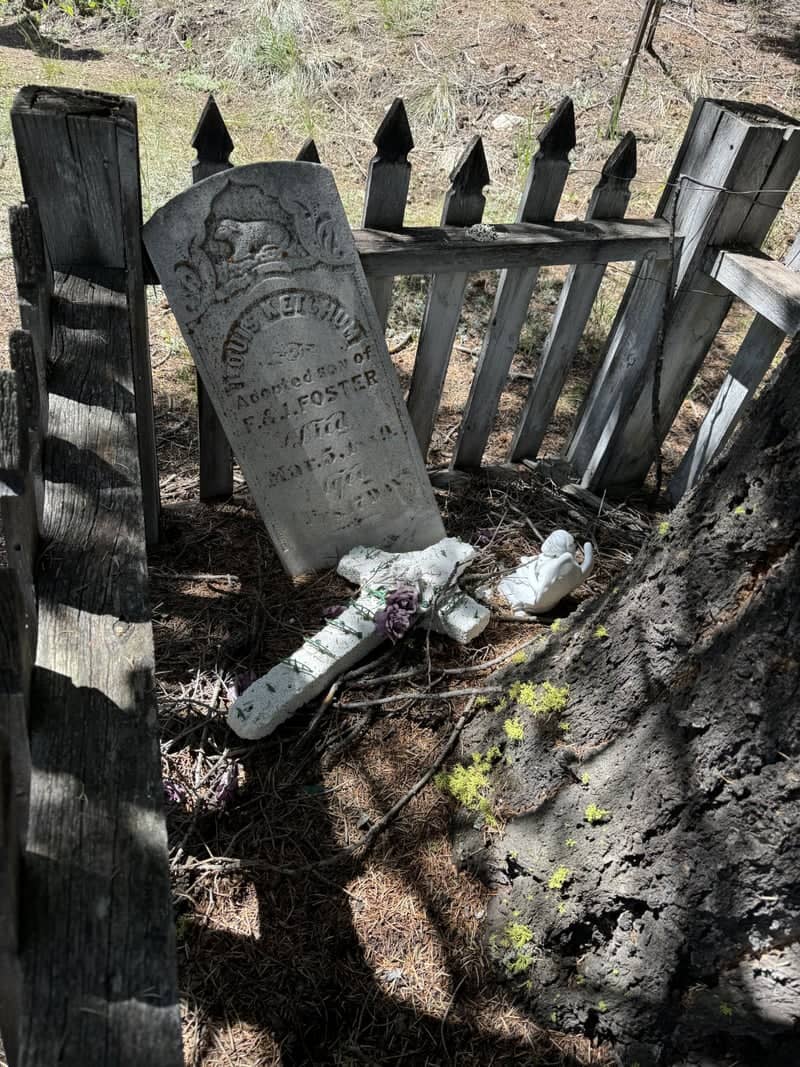 Elkhorn Ghost Town Cemetery - Image 1