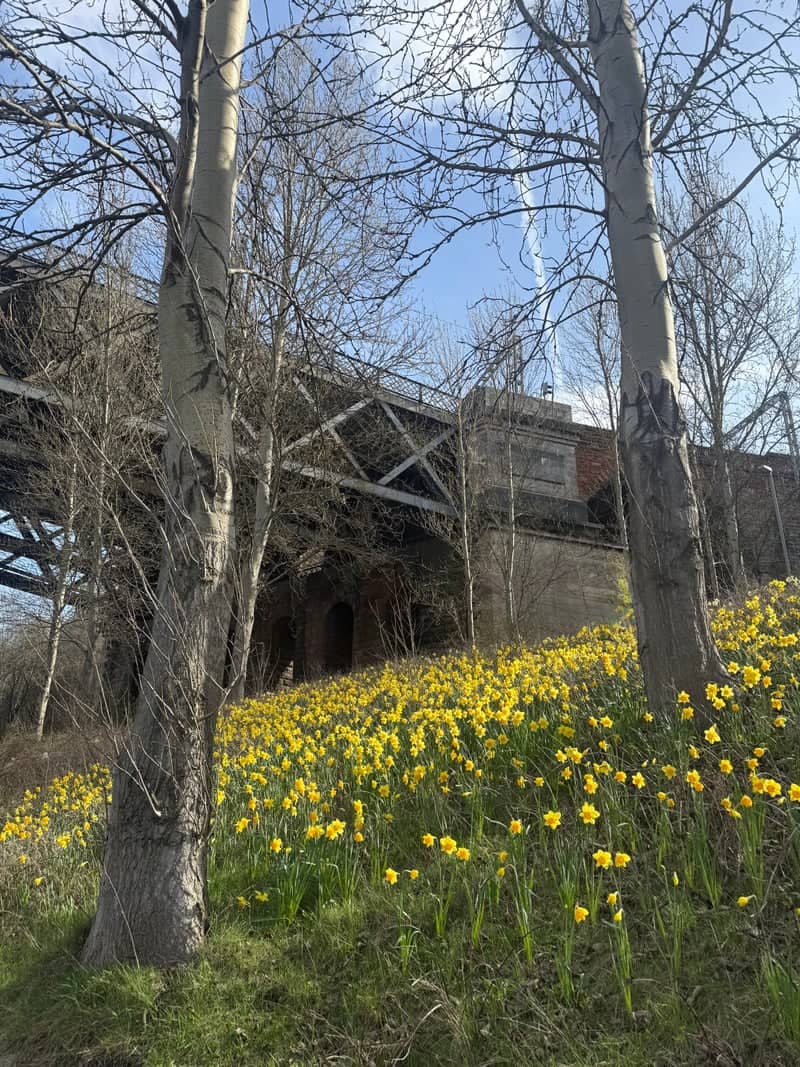 High Level Bridge Embankment - Image 1