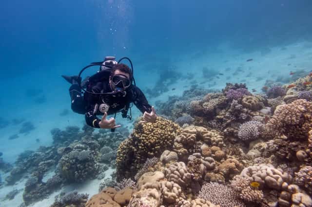 Dahab Coral Reefs