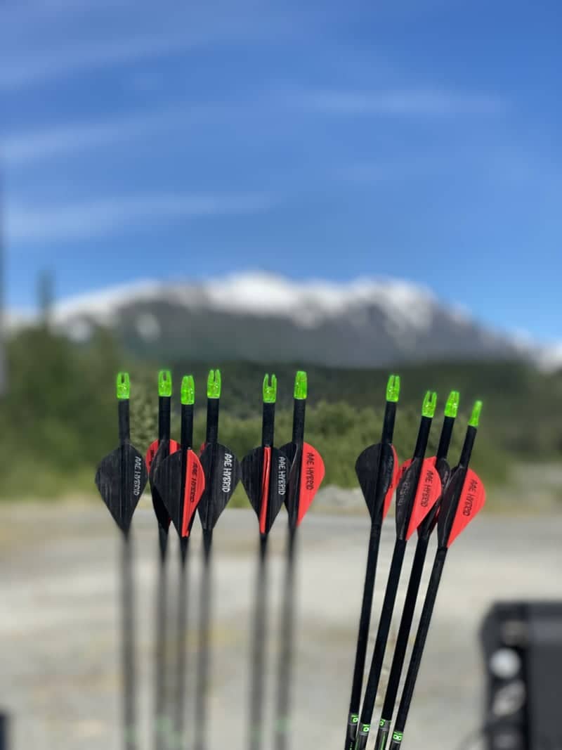 Kenai Peninsula Archery Overlook - Image 1