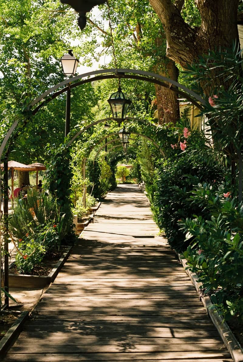 Riverside Garden Path, Alarcón - Image 1
