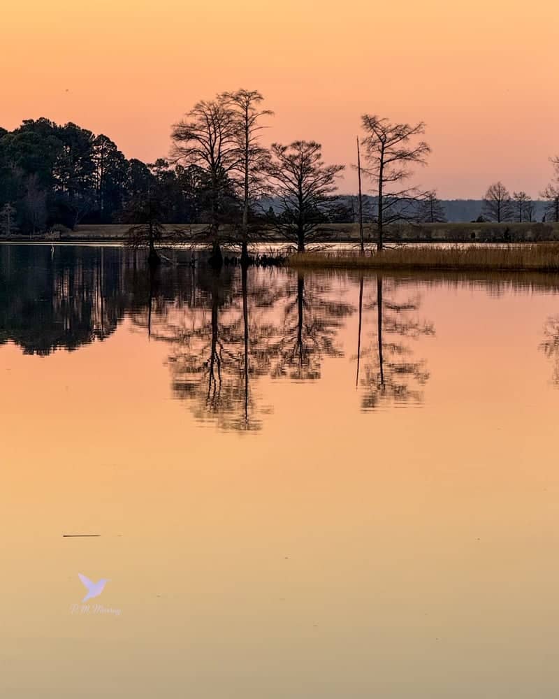 Colonial Parkway Waterfront - Image 1