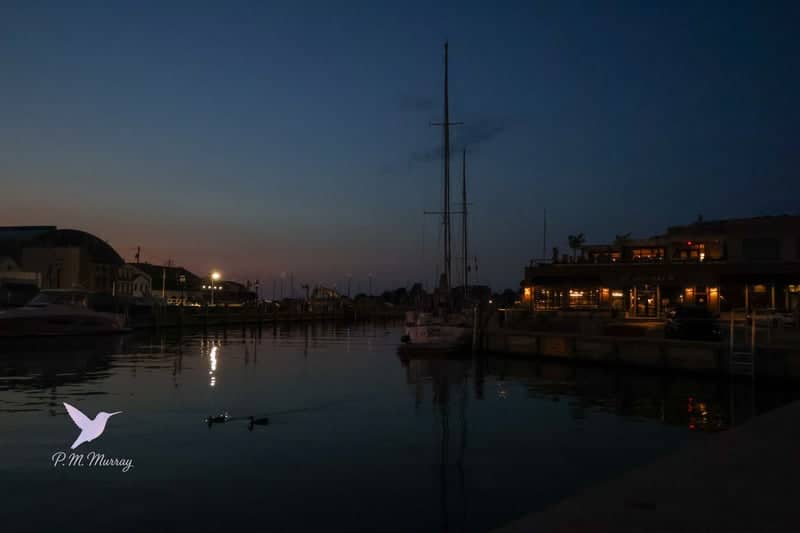 Annapolis City Dock Harbor - Image 1