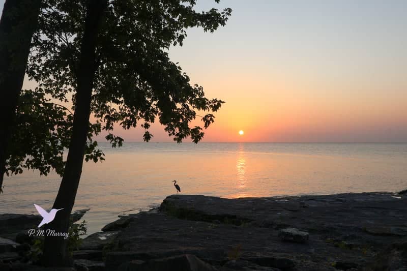 Marblehead Lighthouse - Image 3