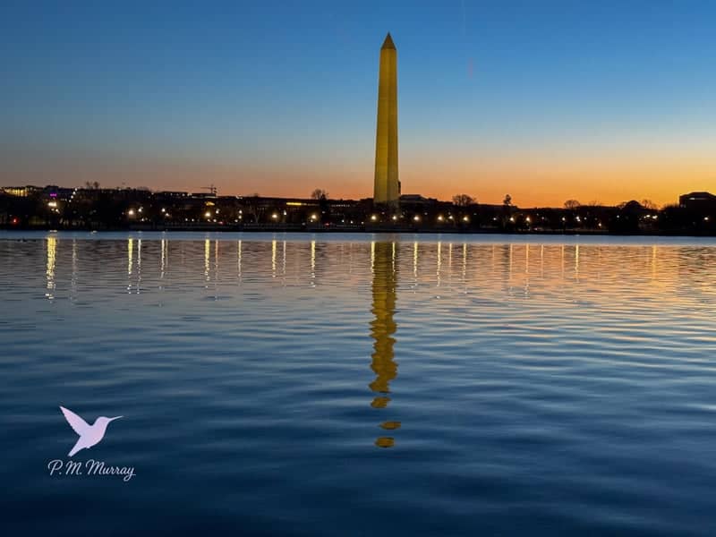 Tidal Basin - Image 3