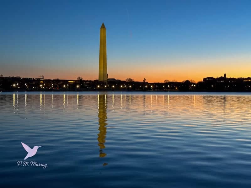 Tidal Basin - Image 2