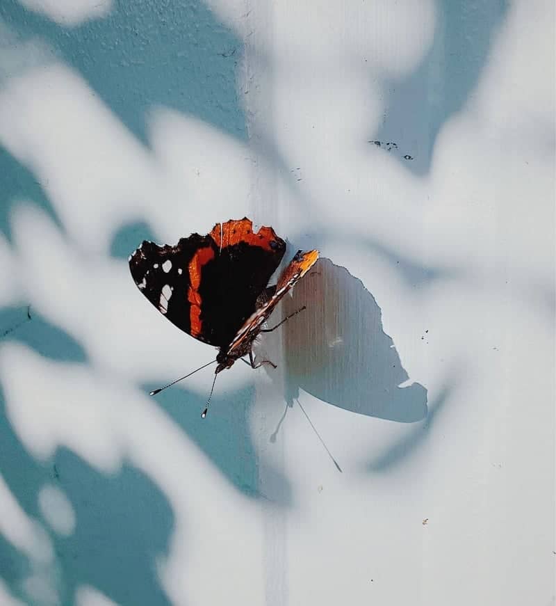 Port Rowan Nature Spot - Image 1