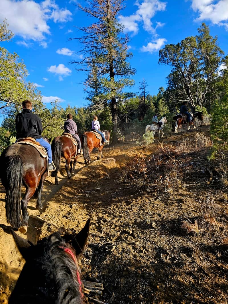 Grindstone Stables Trail - Image 1