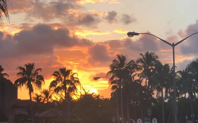 Deerfield Beach Sunset Palms - Image 1