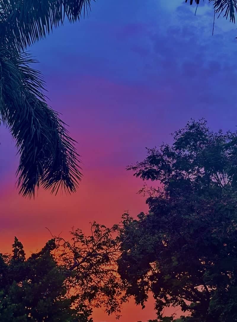 Deerfield Beach Tropical Sunset - Image 1