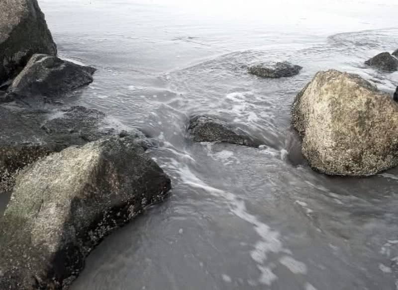 Glen Cove Rocky Shoreline - Image 1