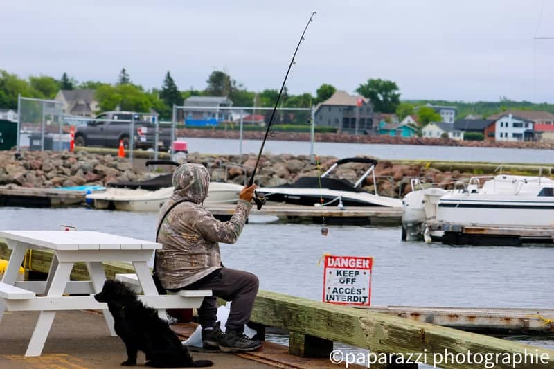 Shediac Waterfront Marina - Image 1