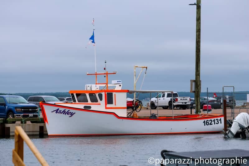 Shediac Wharf - Image 1