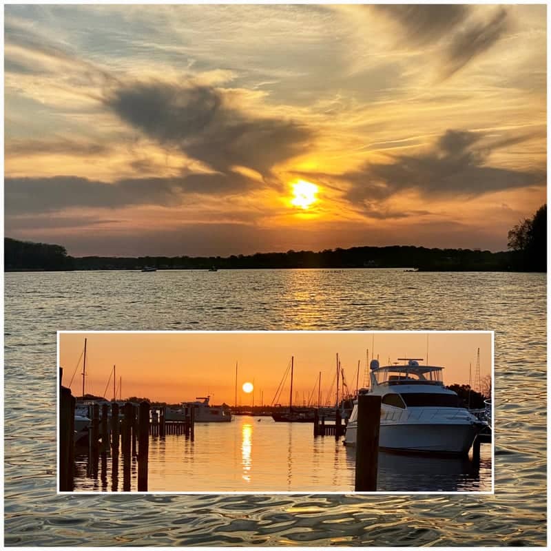 Annapolis City Dock - Image 1