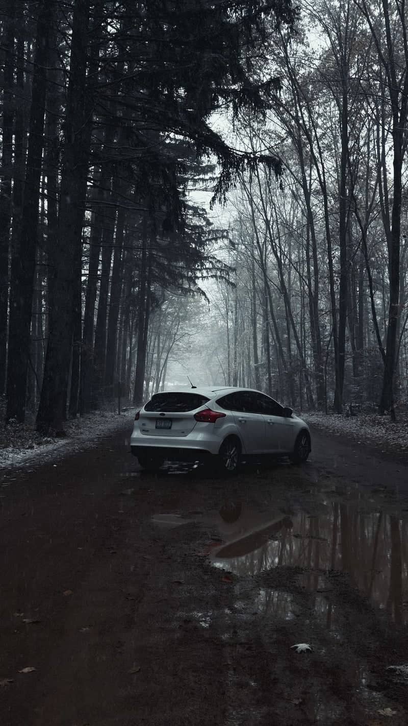 Oakland Township Forest Road - Image 1