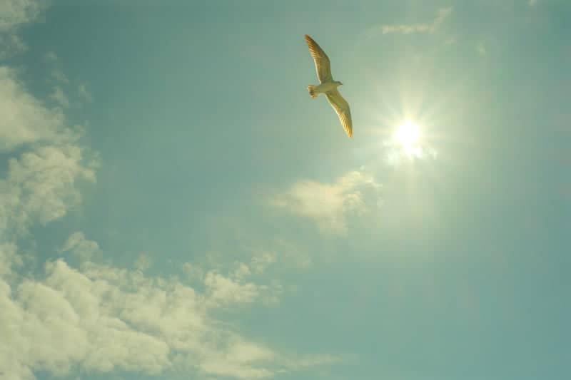 Bay Colony Beach - Image 1