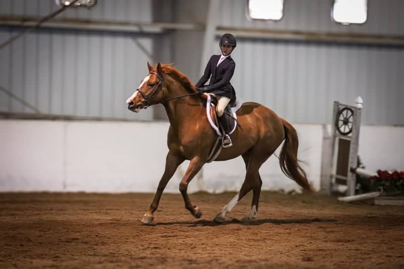 Folly Farm Equestrian Center - Image 1