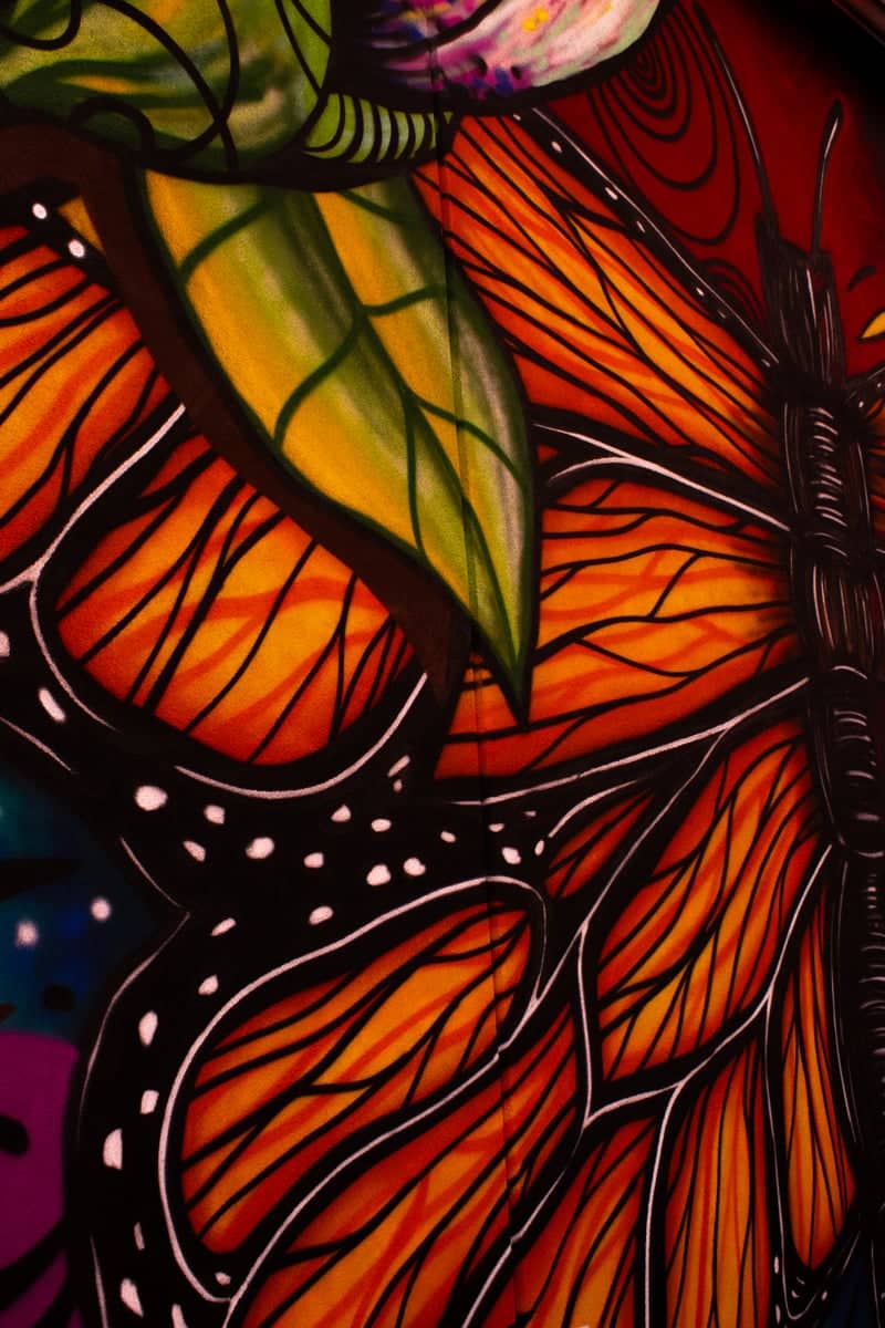 Downtown Washington Butterfly Mural - Image 1