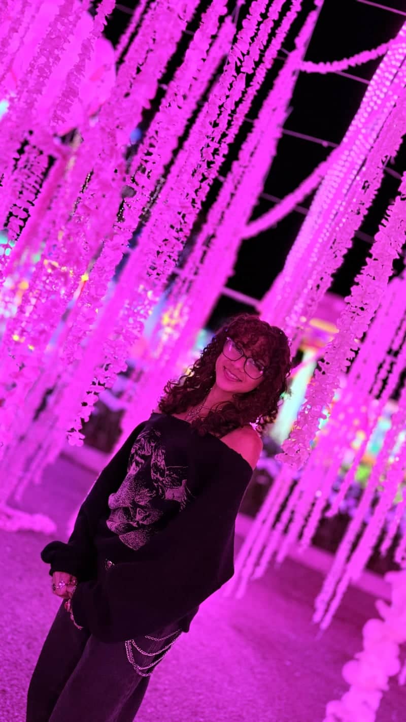 Ontario Mills Light Installation - Image 1