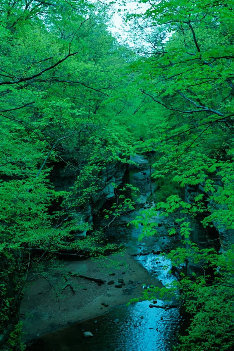 Matthiessen State Park - Image 1
