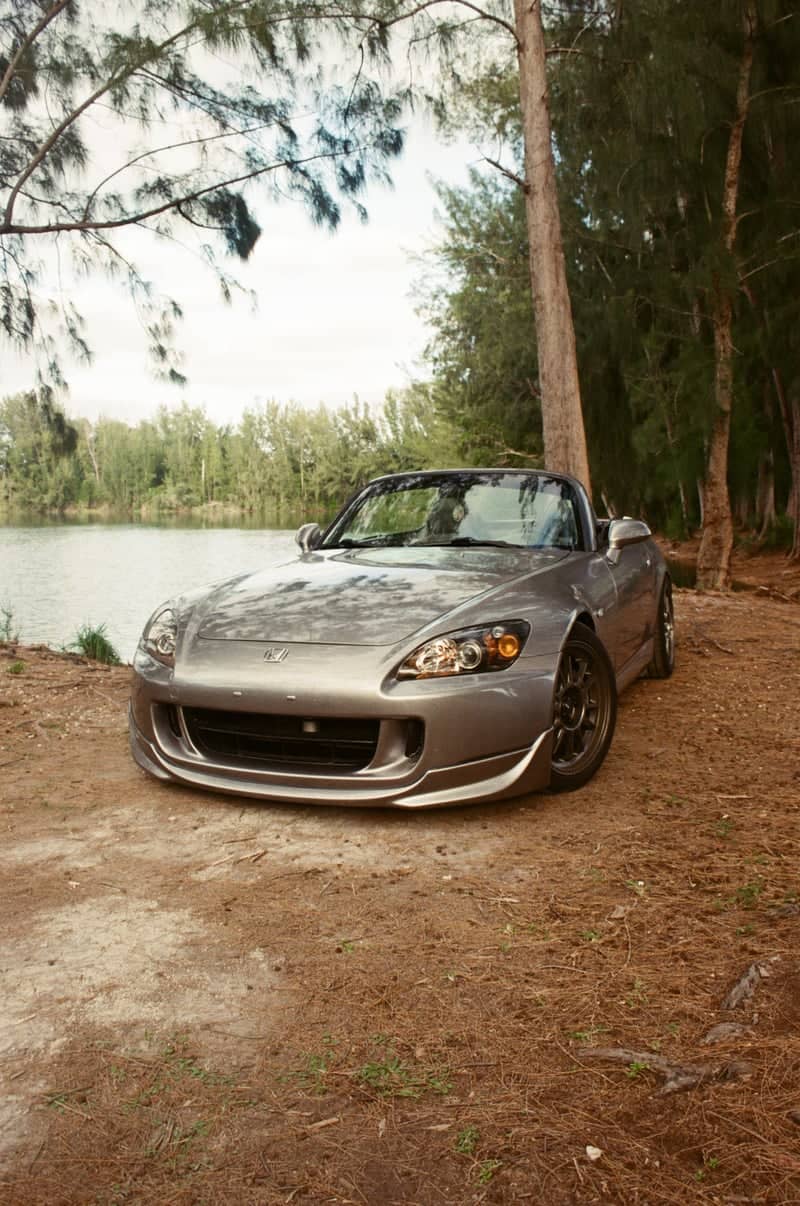 Davie Pine Lakefront - Image 1