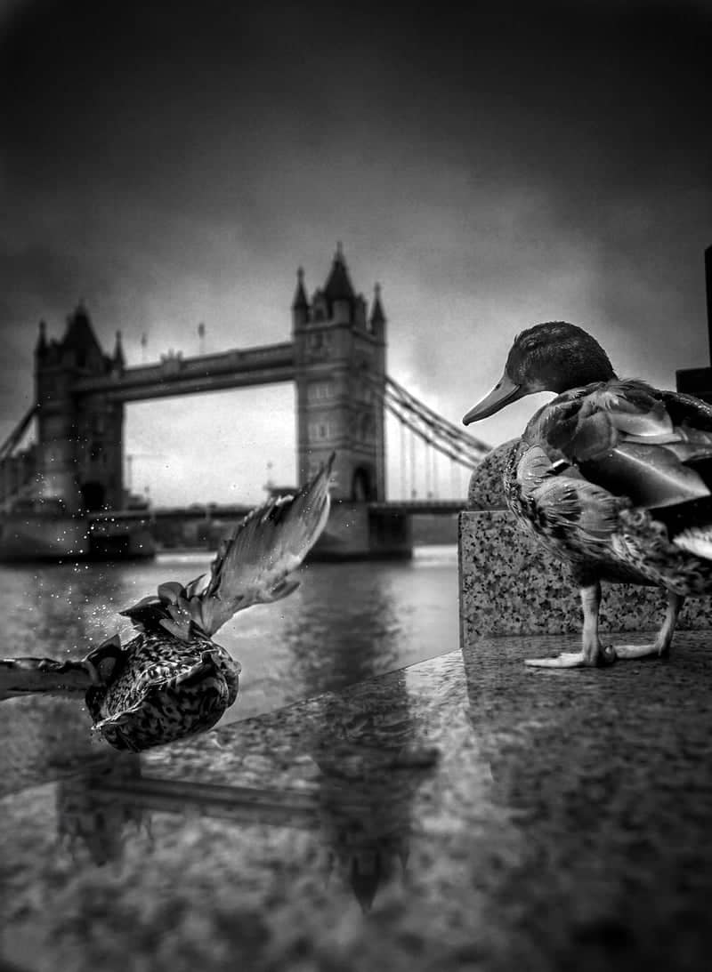 Tower Bridge South Bank - Image 1