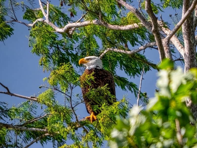 Circle B Bar Reserve - Image 1