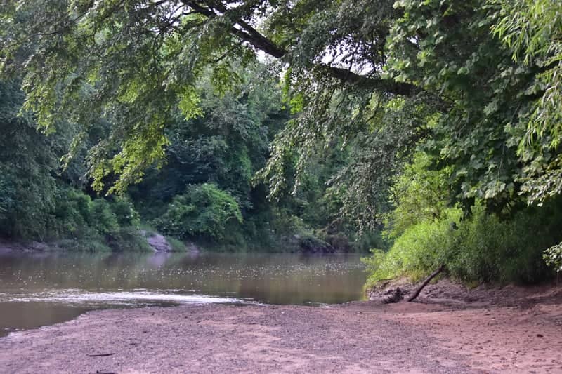 Comite River Bank - Image 1