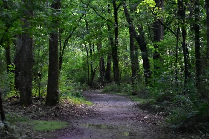 Blackwater Conservation Area - Image 1