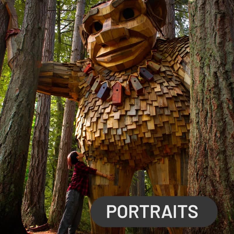 Jakob Two Trees (Issaquah Troll) - Image 1