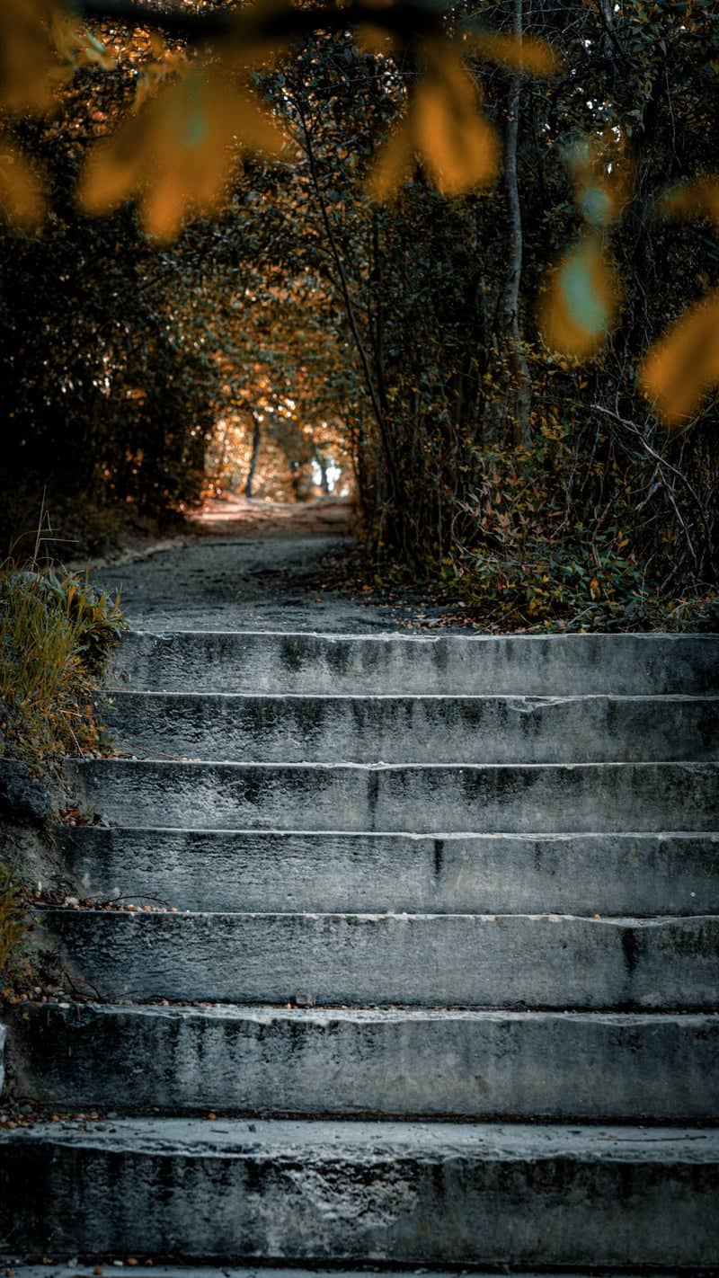 West Mountain Trail - Image 1