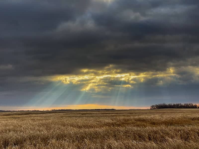Churchs Ferry Prairie Vista - Image 1