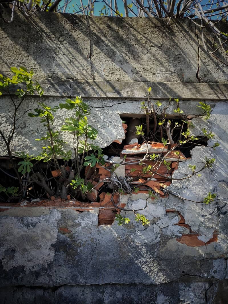 Aurelia Wall Ruins - Image 1