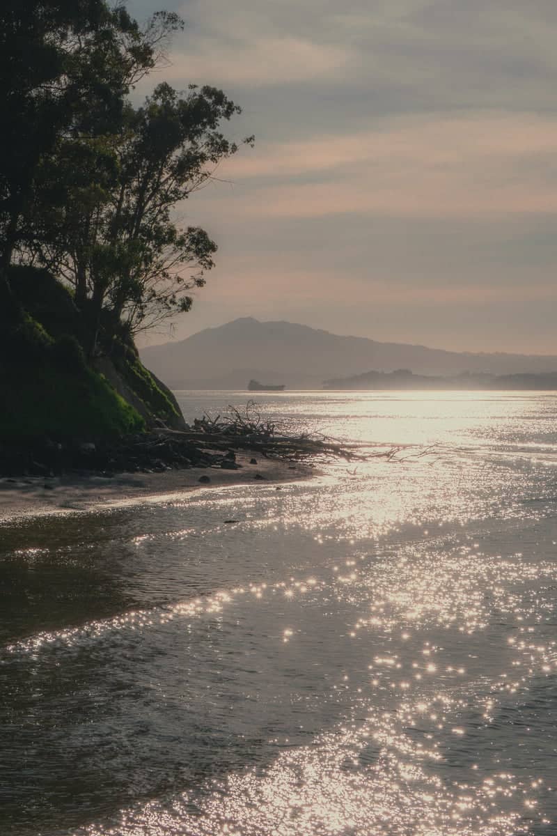 Point Pinole Regional Shoreline - Image 1