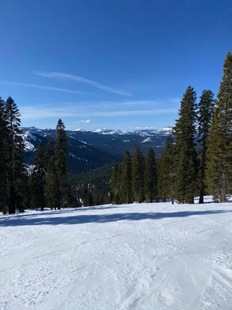 Dodge Ridge Mountain Resort - Image 1