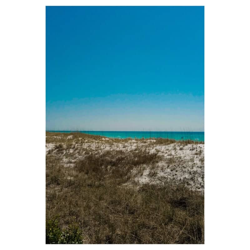 Henderson Beach State Park - Image 1