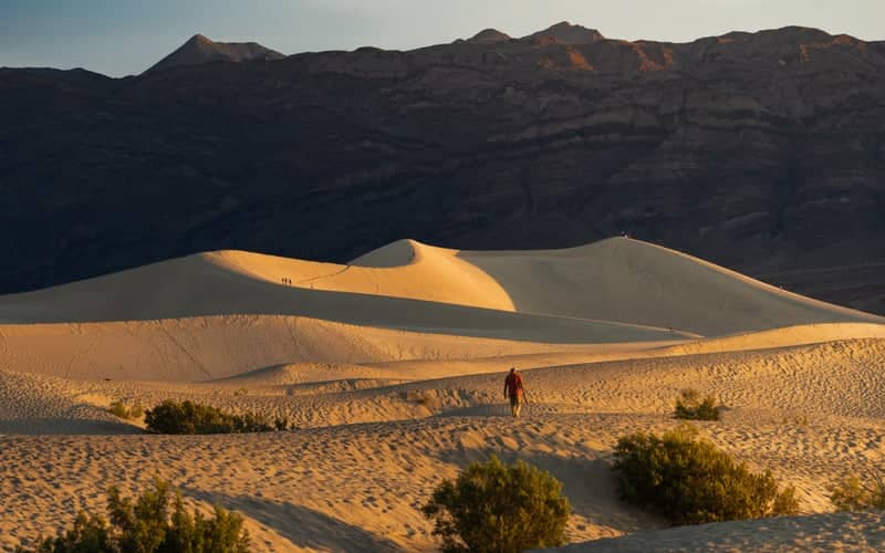 Mesquite Flat Sand Dunes - Image 1