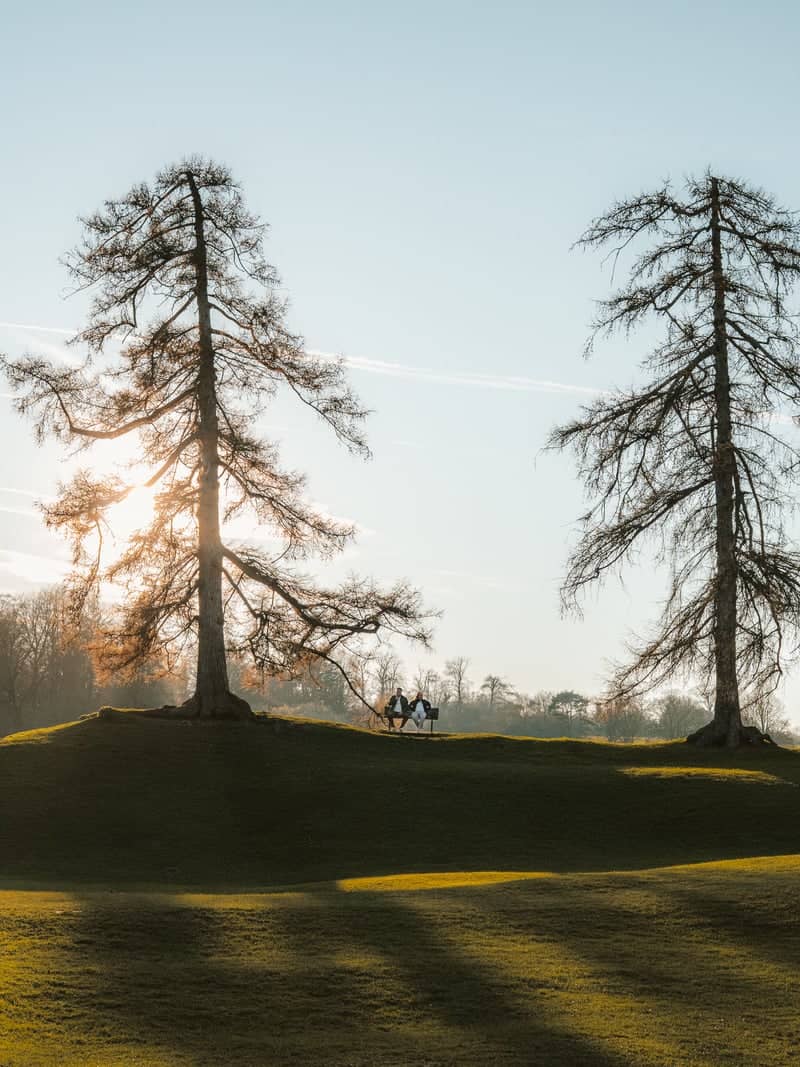 Verulamium Park Hillside - Image 1