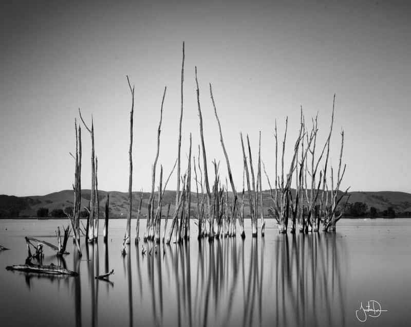 San Pablo Bay National Wildlife Refuge - Image 1