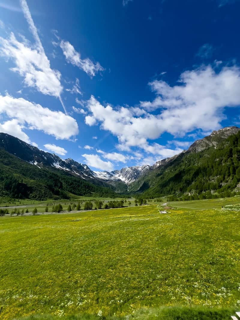Conca del Prà Alpine Meadow - Image 1