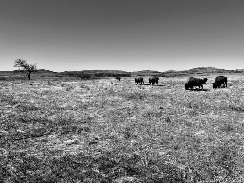 Wichita Mountains Wildlife Refuge - Image 1