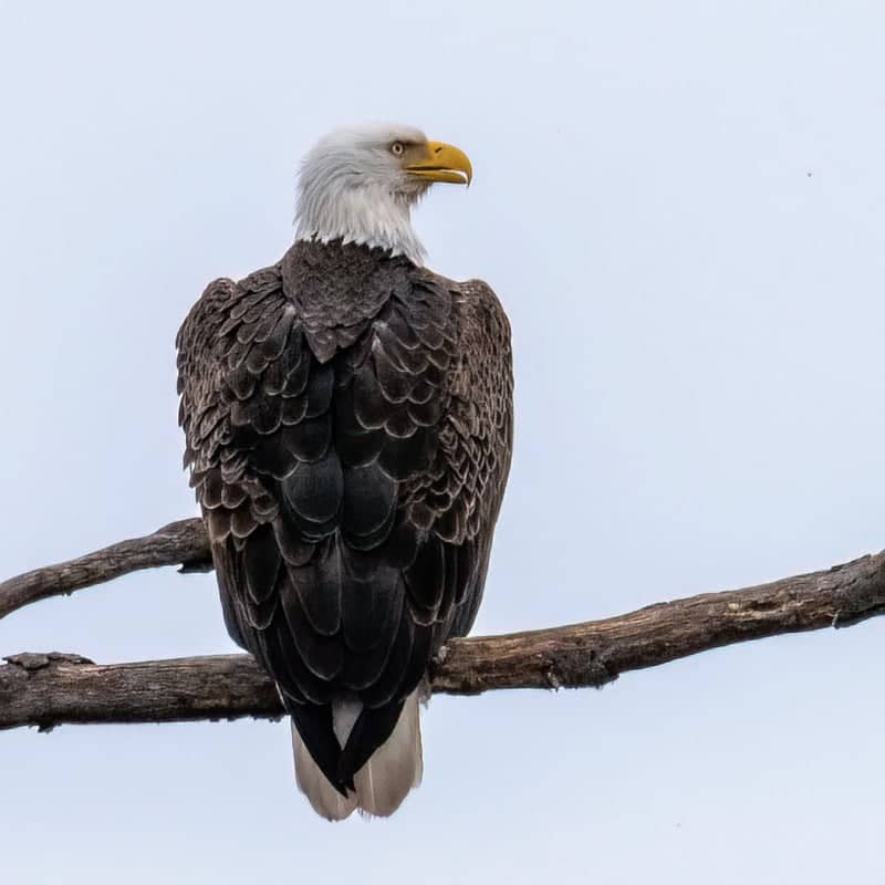 Delaware and Raritan Canal State Park - Image 1