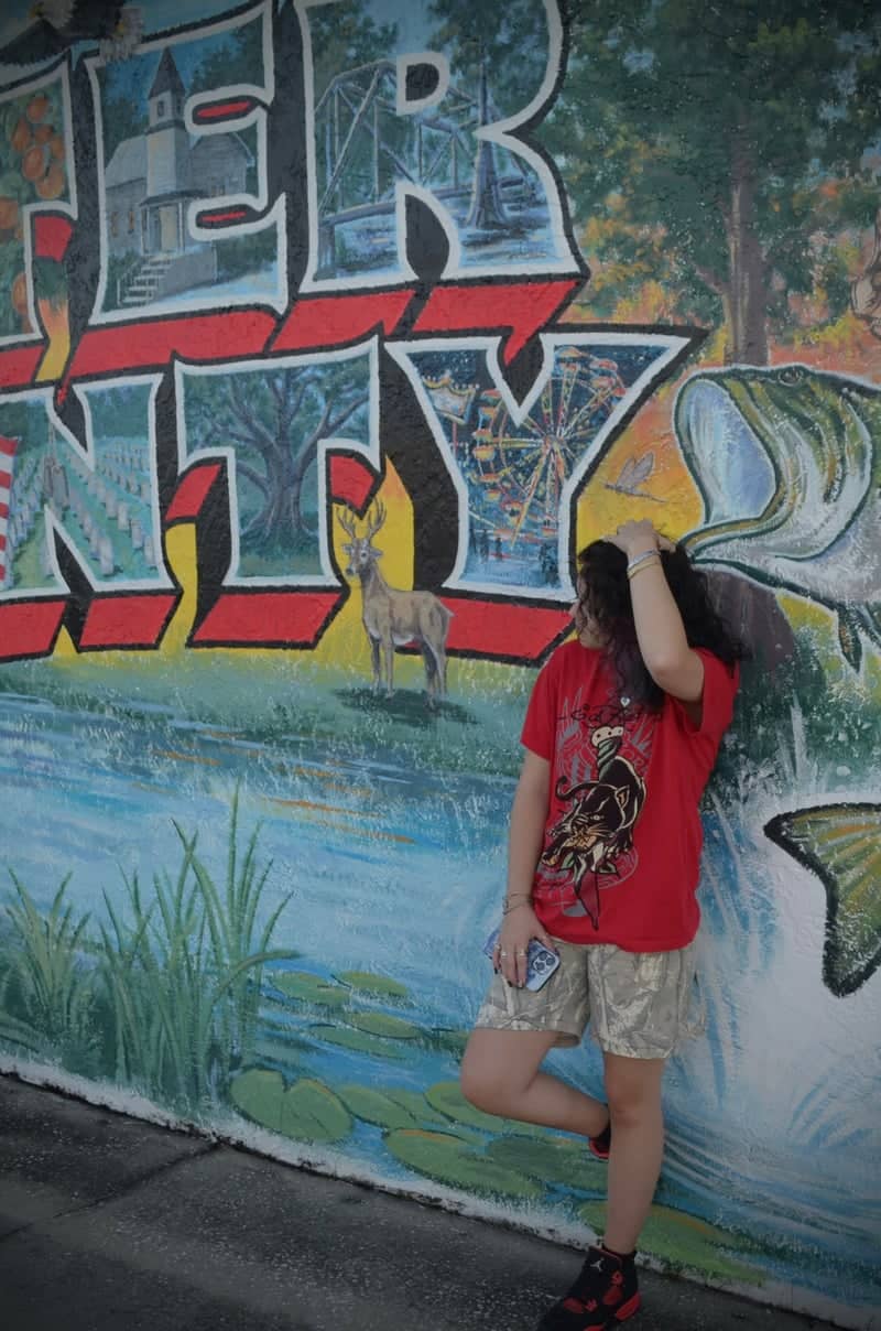 Sumter County Mural - Image 1
